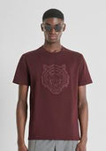 Polera